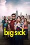 The Big Sick (2017) The Big Sick (2017)