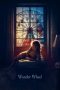 Wonder Wheel (2017) Wonder Wheel (2017)