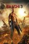 Baaghi 3 (2020) Baaghi 3 (2020)