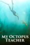 My Octopus Teacher (2020) My Octopus Teacher (2020)