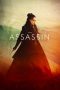 The Assassin (2015) The Assassin (2015)