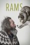 Rams (2015) Rams (2015)