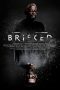 Bricked (2019) Bricked (2019)
