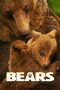 Bears (2014) Bears (2014)