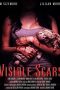 Visible Scars (2012) Visible Scars (2012)