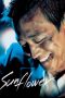 Sunflower (2006) Sunflower (2006)