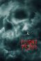 Flight 7500 (2014) Flight 7500 (2014)