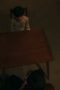 Remember You Season 1 Episode 2 Remember You Season 1 Episode 2