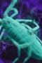 Alien Worlds Season 1 Episode 2 Alien Worlds Season 1 Episode 2