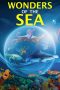 Wonders of the Sea (2017) Wonders of the Sea (2017)