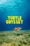 Turtle Odyssey (2018) Turtle Odyssey (2018)