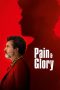 Pain and Glory (2019) Pain and Glory (2019)