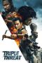 Triple Threat (2019) Triple Threat (2019)