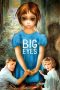 Big Eyes (2014) Big Eyes (2014)