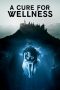 A Cure for Wellness (2016) A Cure for Wellness (2016)