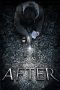 After (2011) After (2011)