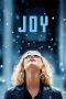 Joy (2015) Joy (2015)