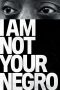 I Am Not Your Negro (2016) I Am Not Your Negro (2016)