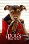 A Dog's Way Home (2019) A Dog's Way Home (2019)