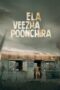 Download Streaming Film Ela Veezha Poonchira (2022) Subtitle Indonesia